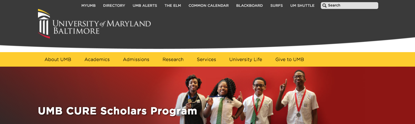 A screenshot of the banner template in place on the CURE Scholars site