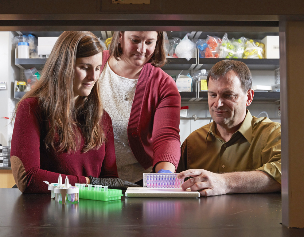 Robert K. Ernst, PhD, professor at the University of Maryland School of Dentistry, from right, in his lab with postdoctoral fellow Erin Harberts, PhD, and graduate student Courtney Chandler.  