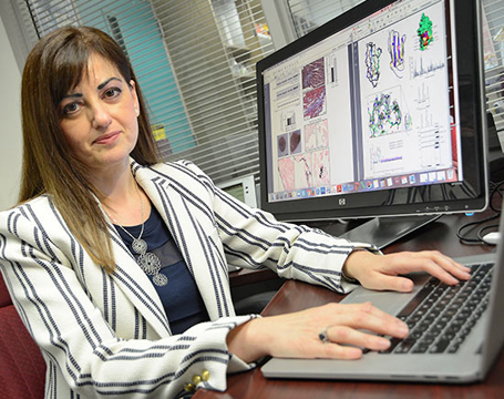 University of Maryland School of Medicine associate professor Aikaterini Kontrogianni-Konstantopoulos, PhD, studies the OBSCN gene and obscurin proteins.