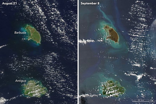 An image of Barbuda before Hurricane Irma shows green vegetation and after a dark brown. (Photo courtesy: NASA Earth Observatory)
