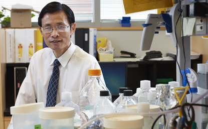 Huakun Xu, PhD, MS, professor and a founder of the Biomaterials and Tissue Engineering Lab in the Department of Advanced Oral Sciences and Therapeutics at the University of Maryland School of Dentistry, has received the International Association for Dental Research 2018 Isaac Schour Memorial Award.