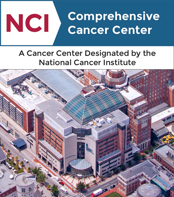 The University of Maryland Marlene and Stewart Greenebaum Comprehensive Cancer Center has been awarded the National Cancer Institute’s highest designation.