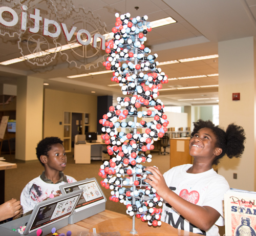 Timothy Mitchell, 10, and Autumn Curbean, 8, look over a large DNA model in the Innovation Space at the Health Sciences and Human Services Library during a session of Summer U.