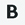 Capital B Icon for Bold