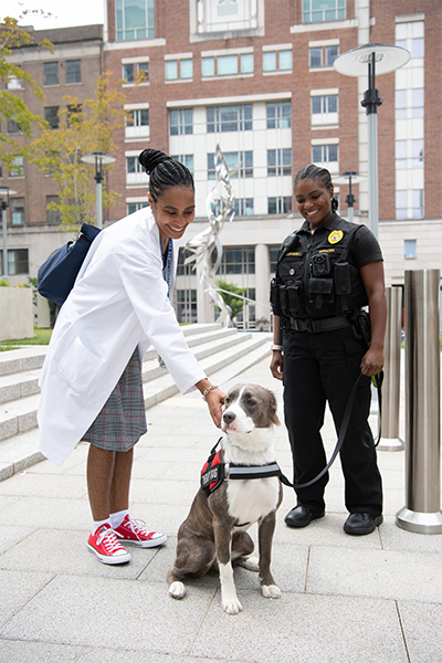 Comfort K9 Lexi in action helping others around campus