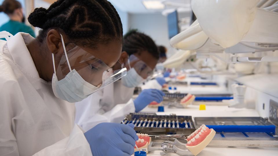 CURE scholars working on a dental project.