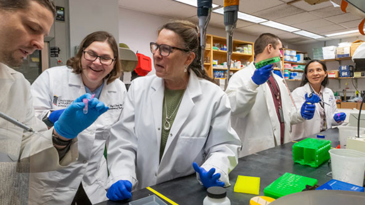 Students and researchers in a lab at UMB