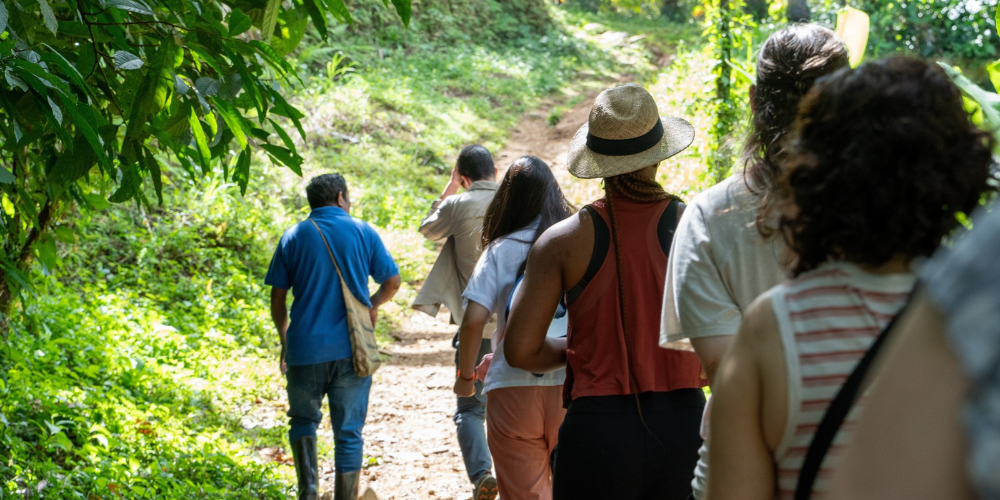 People walk in the forest in Costa Rica