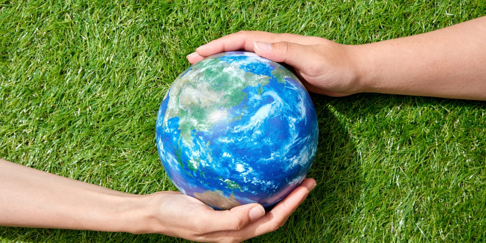 Hands holding a globe