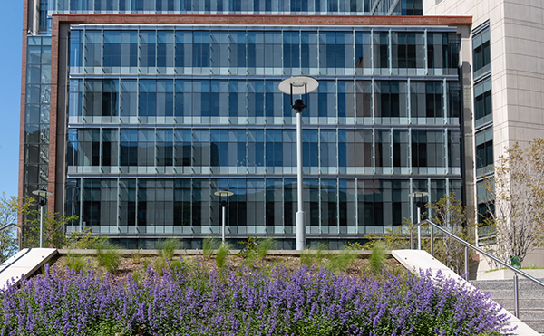 Health Sciences Research Facility III