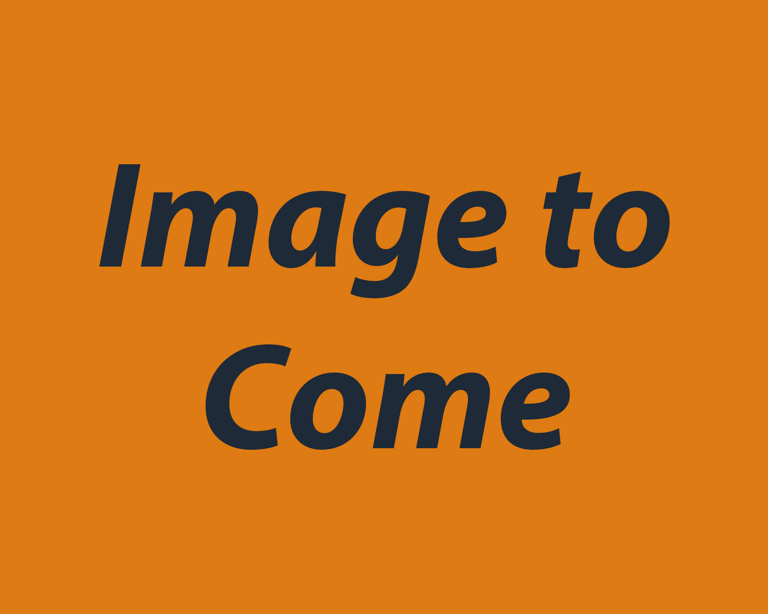 image to come placeholder