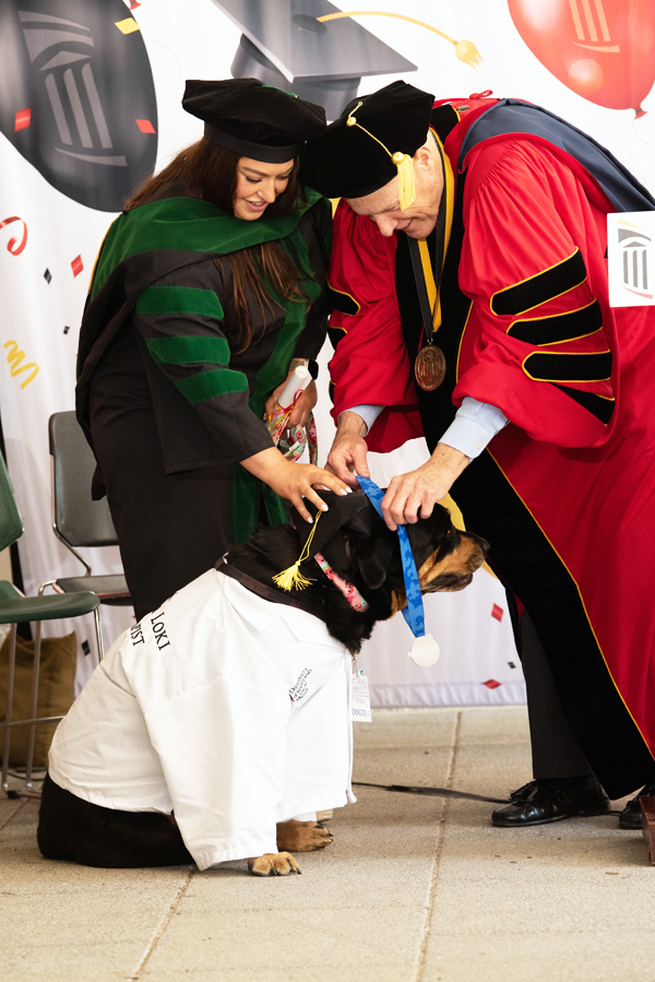 Loki receives her honorary dogtorate.