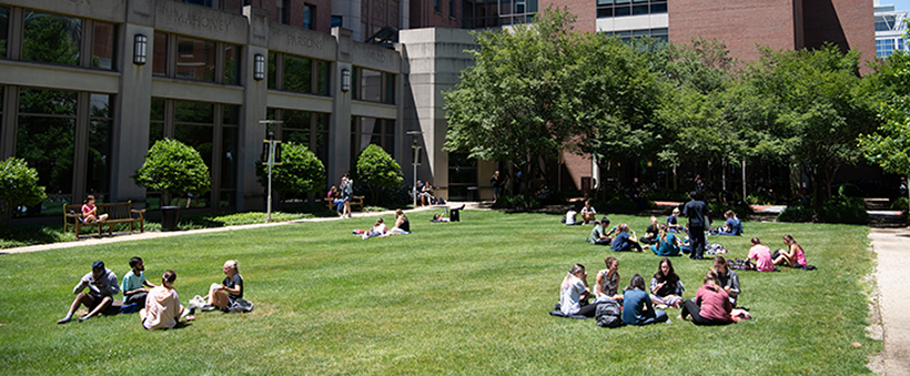 Students sitting on the lawn