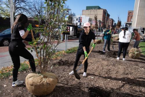 volunteers digging at tree planting in fall '22