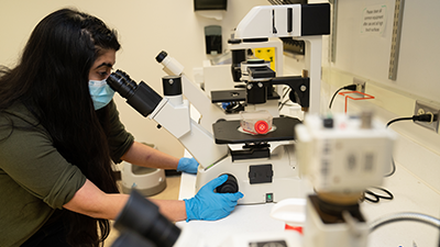 A researcher looking into a microscope