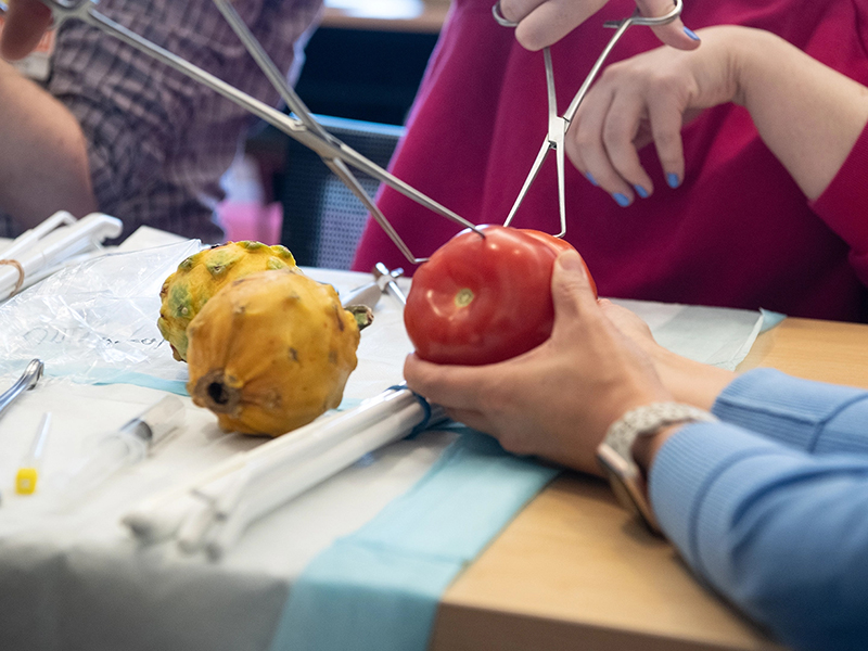 MARCH Fellows and faculty use papayas and tomatoes to practice procedural abortion care during in-person training workshops