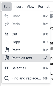 A screenshot showing the Paste as Text option