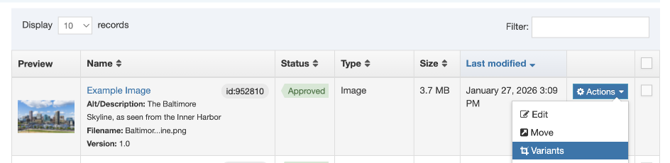 A screenshot showing Variants in the Actions drop-down