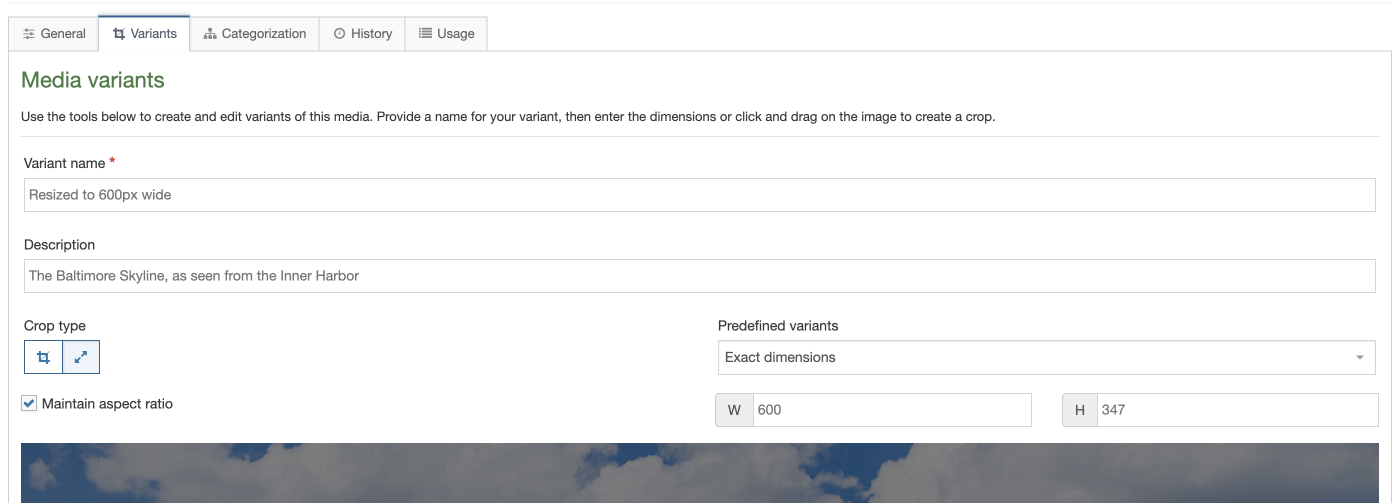 A screenshot showing the Variants interface