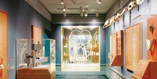 Inside photograph of displays at the Dr. Samuel D. Harris National Museum of Dentistry
