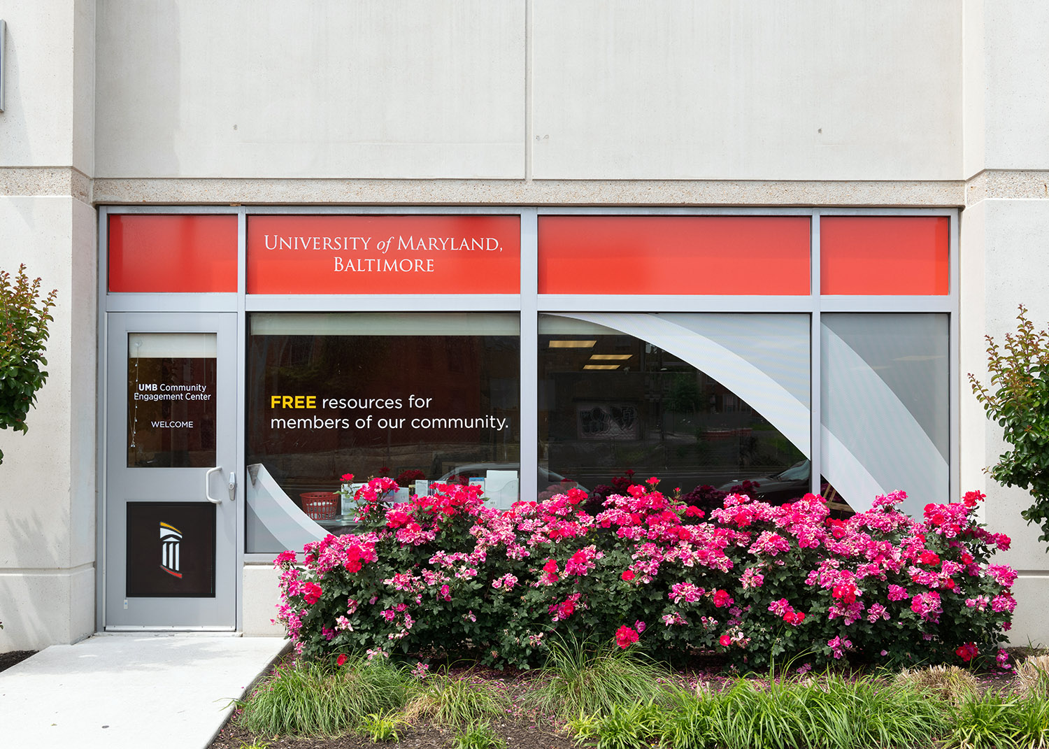 university building with a branded window graphic