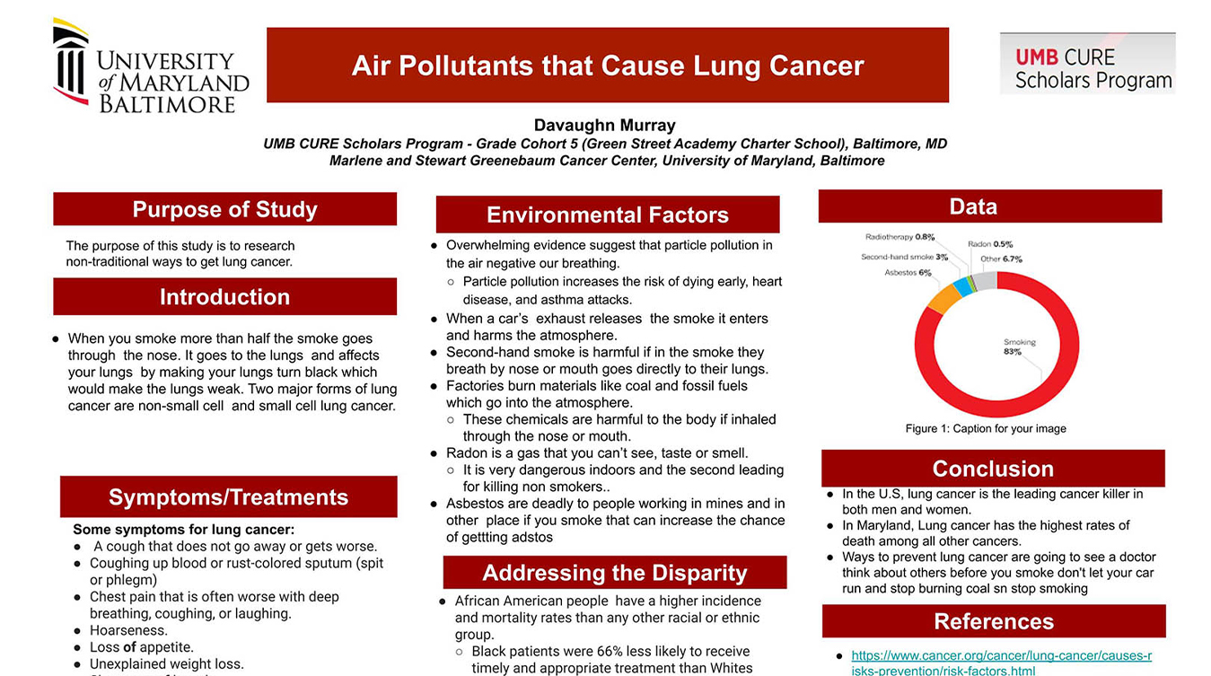 Davaughn Murray - Air Pollutants that Cause Cancer