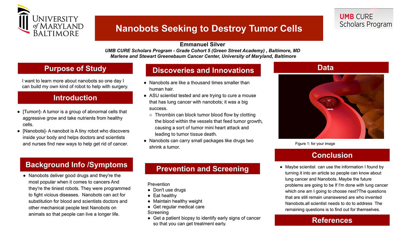 Emanuel Silver - Nanobots Seeking to Destroy Tumor Cells