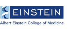 Albert Einstein College of Medicine