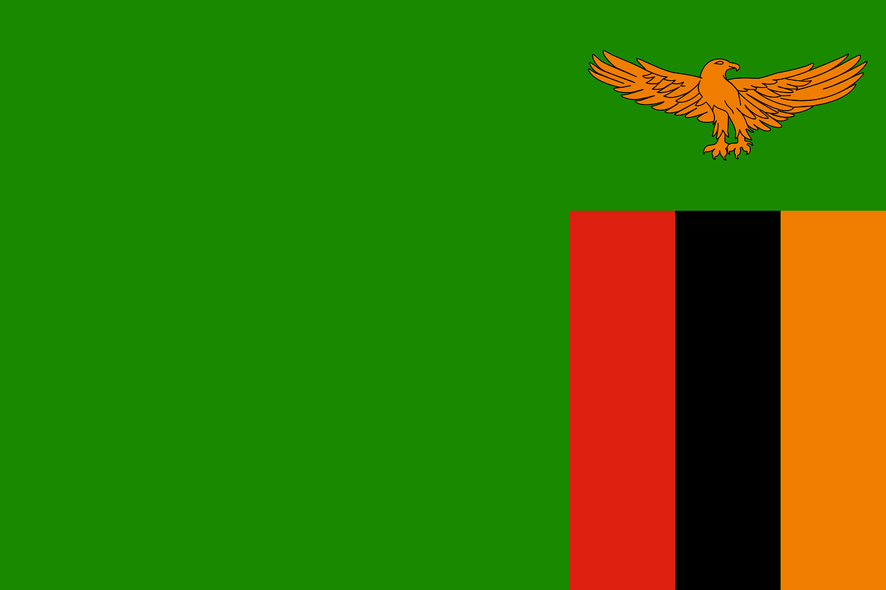 Green flag with small red and black vertical stripes on left side and flying bird above them