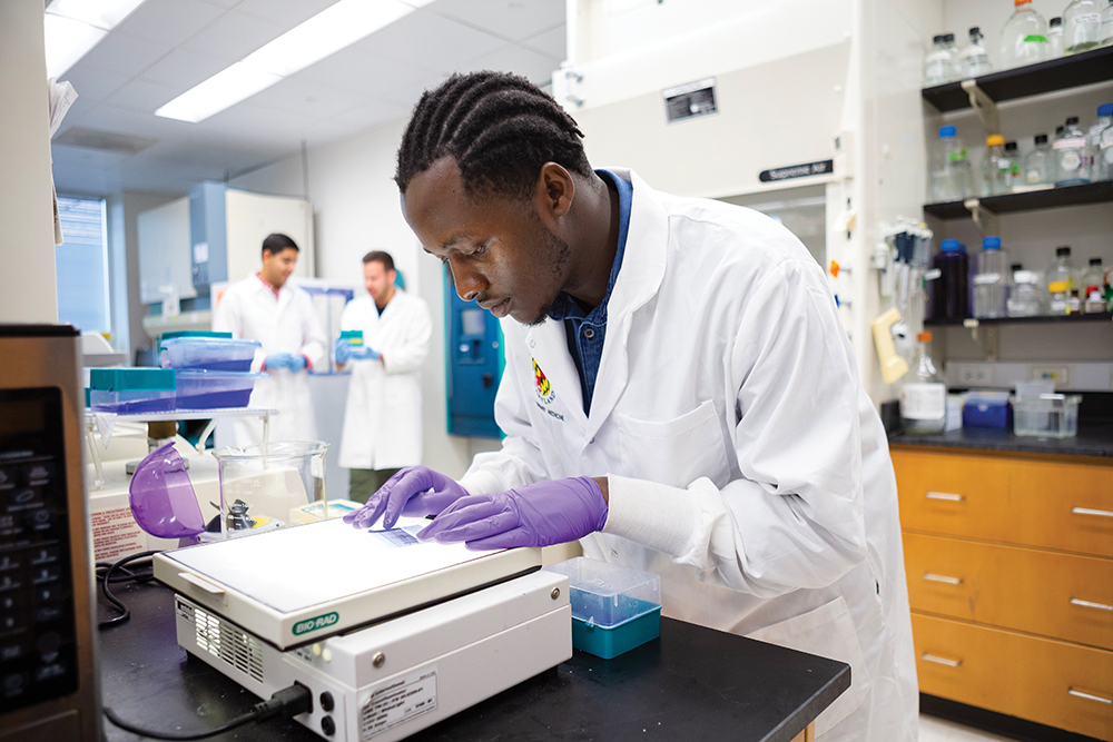 Student working in a research lab