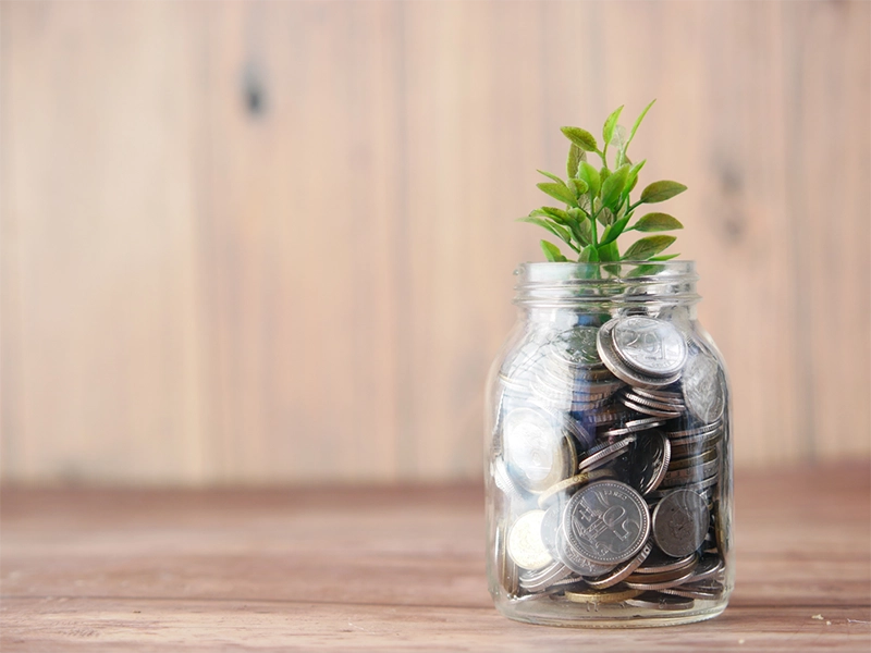 A jar of coins with a plant growing from it