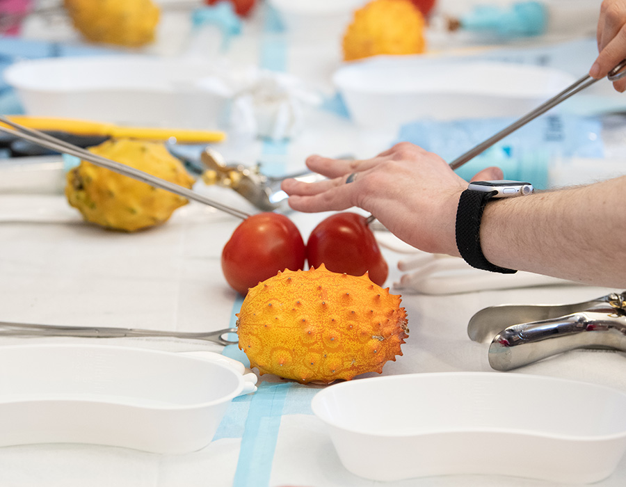 MARCH Fellows and faculty use papayas and tomatoes to practice procedural abortion care during in-person training workshops.