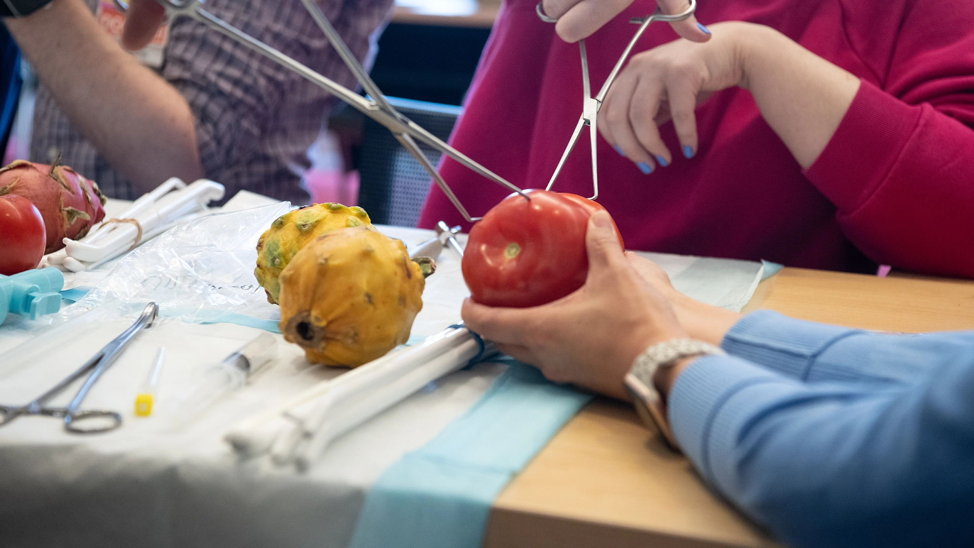 MARCH Fellows and faculty use papayas and tomatoes to practice procedural abortion care during in-person training workshops.