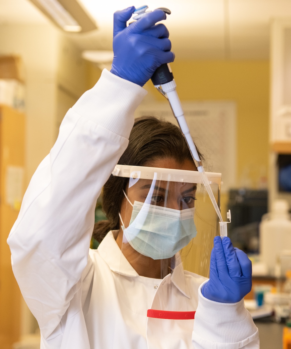 A researcher works in a lab at the School of Pharmacy.