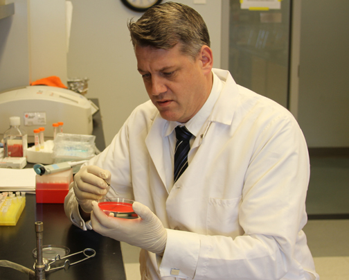 Professor Mark Shirtliff, PhD, is shown in his lab in the Department of Microbial Pathogenesis at the University of Maryland School of Dentistry. The researcher and entrepreneur held a primary appointment at UMSOD and a secondary appointment in the Department of Microbiology and Immunology at the University of Maryland School of Medicine until his tragic death in July 2018. 