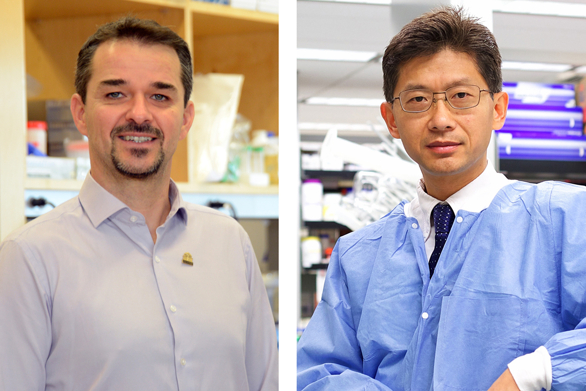 Jacques Ravel, PhD, associate director, Institute for Genome Sciences at the School of Medicine; left, and Hanping Feng, PhD, professor in the Department of Microbial Pathogenesis at the University of Maryland School of Dentistry.
