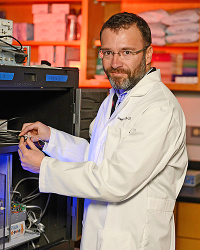 Joseph Cheer, PhD, professor of anatomy and neurobiology and of psychiatry at the University of Maryland School of Medicine