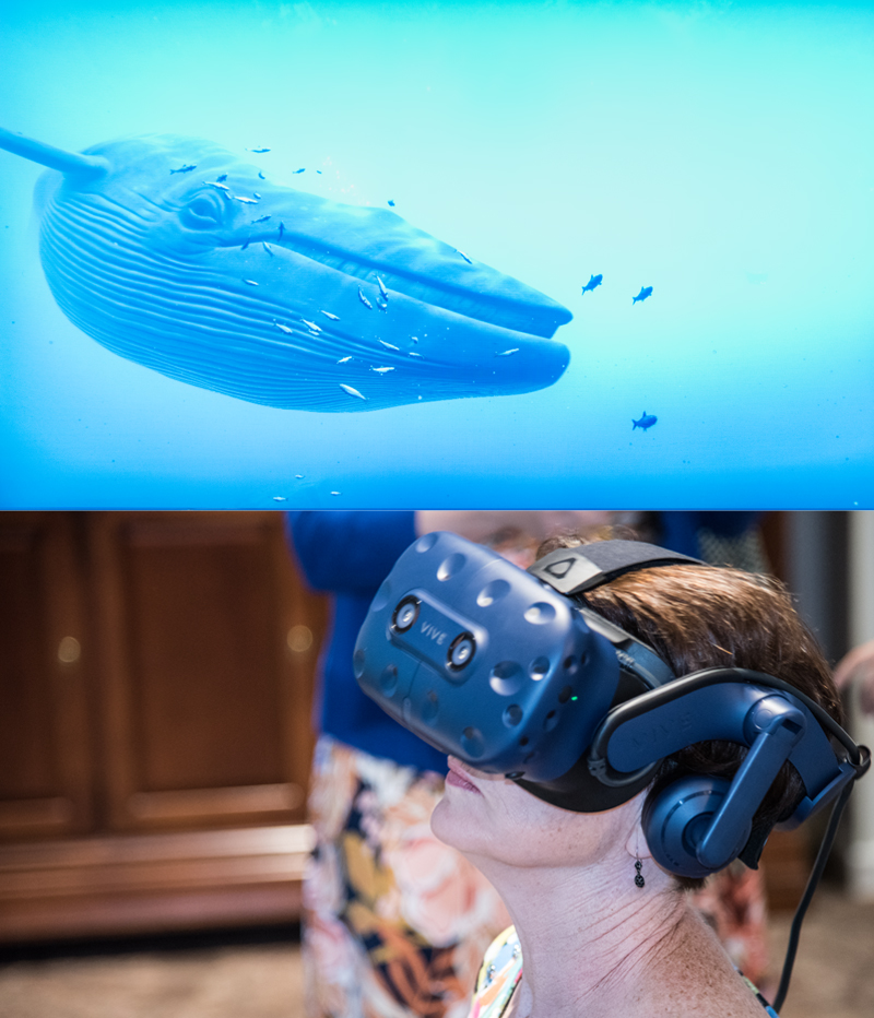 Renee Gruel, CRNP, experiences a marine setting that features a whale during a virtual reality demonstration conducted by members of the laboratory of Luana Colloca, MD, PhD, MS, associate professor at the schools of nursing and medicine.