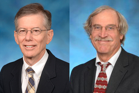 Steven J. Kittner, MD, MPH, and Braxton D. Mitchell, PhD, MPH