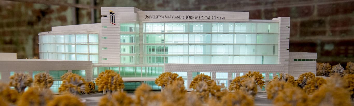 Artist's rendering of planned UMMS Regional Medical Center in Easton