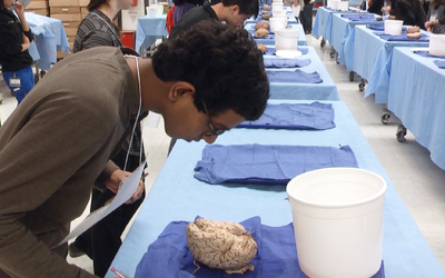 Students such as this 2014 contestant must summon knowledge of the human brain to advance in the USA Brain Bee championship.