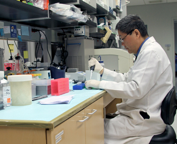 Li Mao, MD, in his lab at the University of Maryland School of Dentistry.