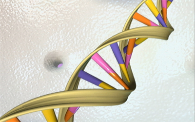 DNA double helix
