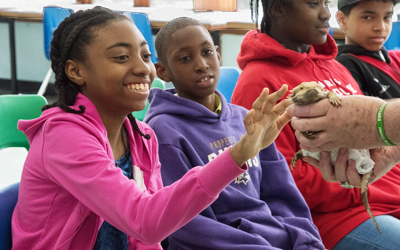 Kamara Jenkins, a sixth-grade CURE scholar (left), pets a bearded dragon that lives at the Carrie Murray Nature Center.