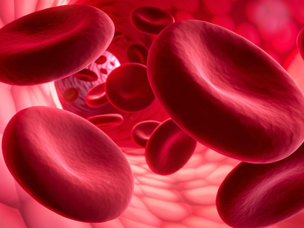 Image of hemoglobin cells in a blood vessel