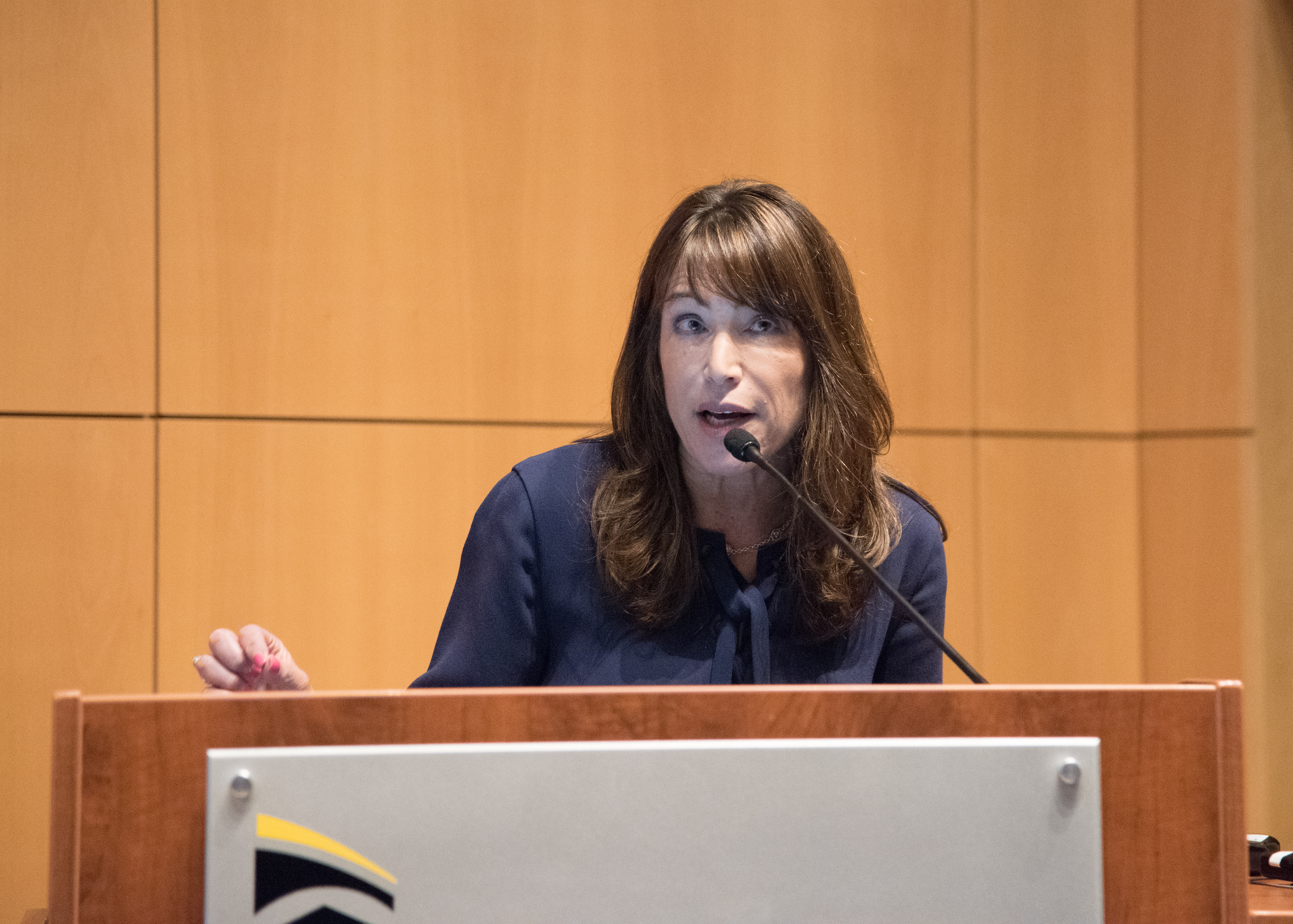 Marla T. Oros, MS, BSN ’84, RN, president of the Mosaic Group, a management-consulting firm with expertise in community health, addresses attendees at the 2019 Maryland Action Coalition Summit at the University of Maryland School of Nursing.