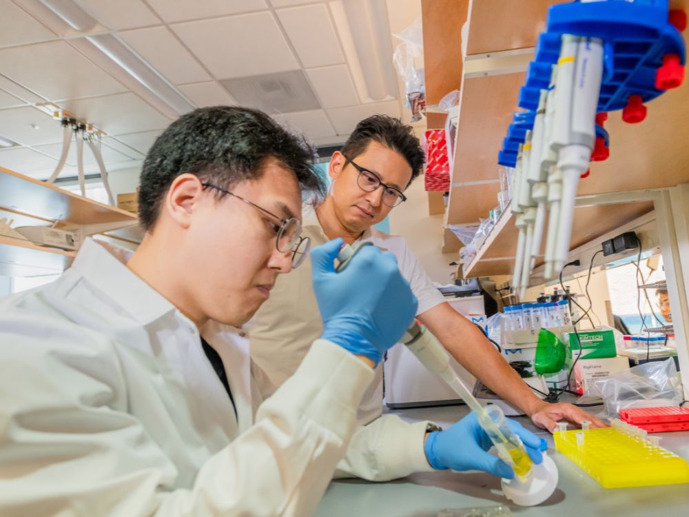 Post-Doctotal Fellow Dr. Deiheon Lee and Dr. Jung Soo Suk