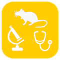 Office of Animal Welfare and Assurance