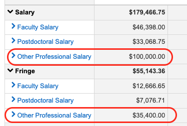 Screenshot from Kuali Research showing the budget with summary personnel entry