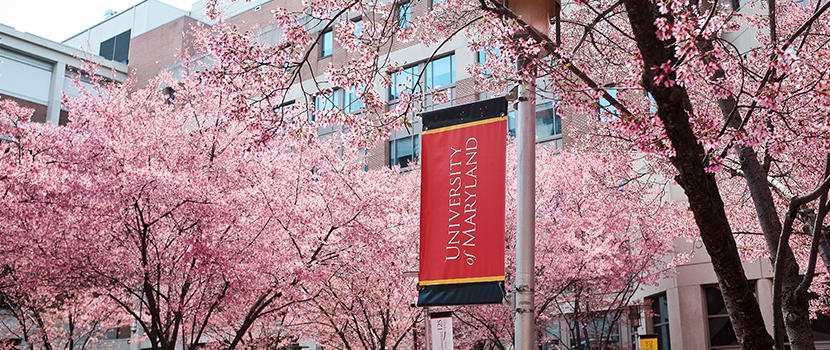 An exterior shot of the UMB campus in springtime.